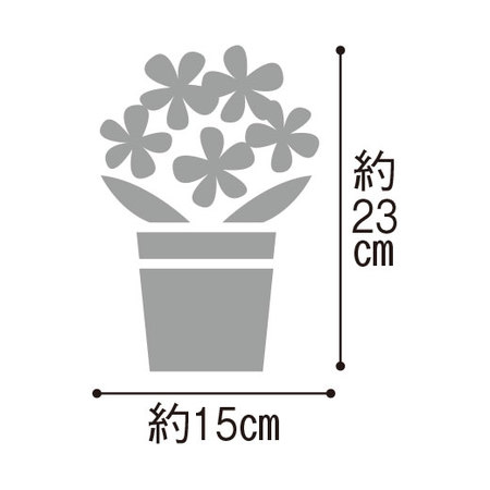 おうちでお花見♪旭山桜盆栽　３月上旬より順次