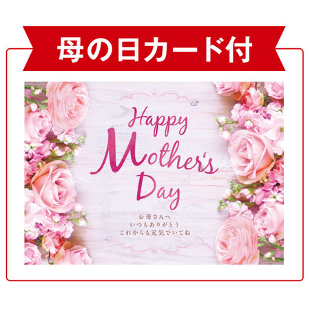 カーネーションパティシエール５号とカステラセット【５月６日―５月１０日お届け】