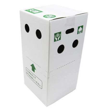 カーネーションパティシエール５号とカステラセット【５月６日―５月１０日お届け】