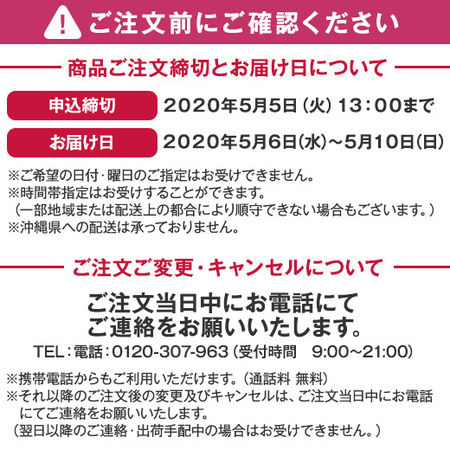 カーネーションパティシエール５号とカステラセット【５月６日―５月１０日お届け】