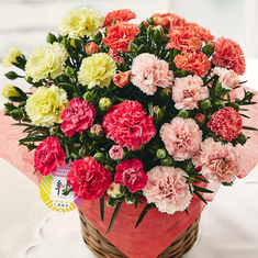 2020年母の日ギフトランキング8位_≪早割★５００円オフ≫カーネーション４色ミックス「しあわせ」【５月６日―１０日お届け】