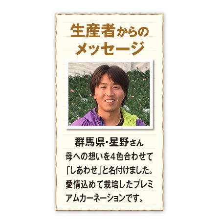 ≪超早割★７９０円オフ≫カーネーション４色ミックス「しあわせ」とカステラ【５月６日―１０日お届け】