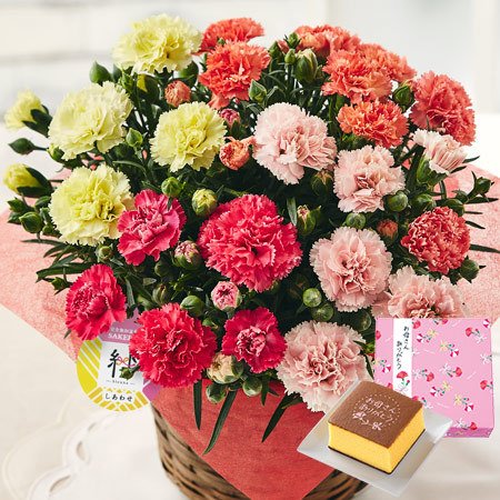 ≪超早割★７９０円オフ≫カーネーション４色ミックス「しあわせ」とカステラ【５月６日―１０日お届け】