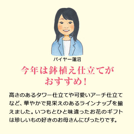 ≪早割★１，０００円オフ≫キングローズアーチ仕立て【５月６日―１０日お届け】