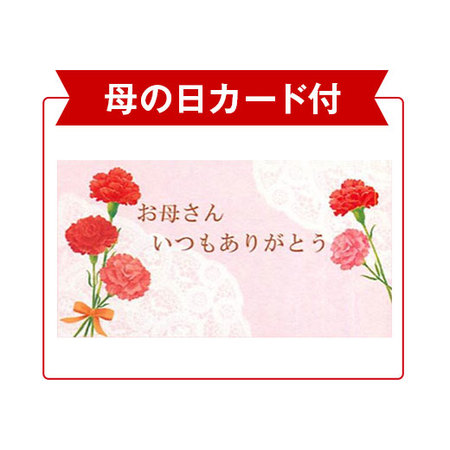 ３色ミックスマンデビラトレリス仕立て母