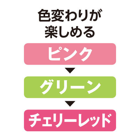 ≪早割★１，０００円オフ≫あじさいフェアリーアイ５号とカステラセット【５月６日―１０日お届け】