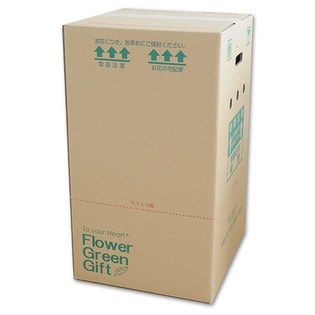 ≪超早割★５４０円オフ≫あじさいカメレオン【５月６日―１０日お届け】