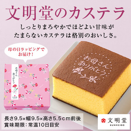 ≪早割★７００円オフ≫あじさいカメレオンとカステラセット【５月６日―１０日お届け】