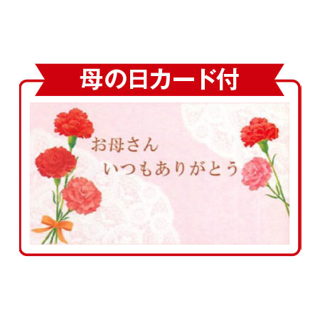 あじさいディープパープル５号カステラＳ母