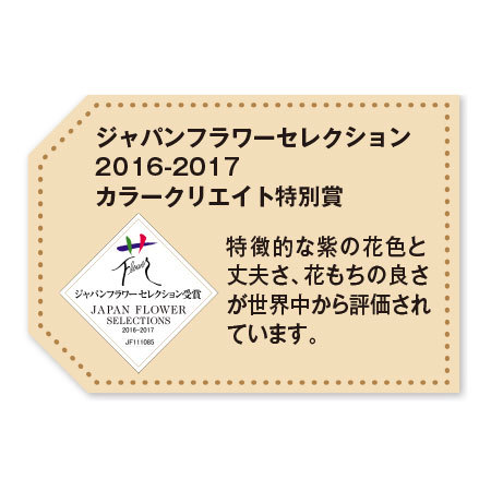 ≪早割★７００円オフ≫あじさいディープパープルとカステラセット【５月６日―１０日お届け】