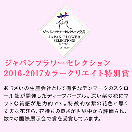 ≪早割★７００円オフ≫あじさいディープパープルとカステラセット【５月６日―１０日お届け】