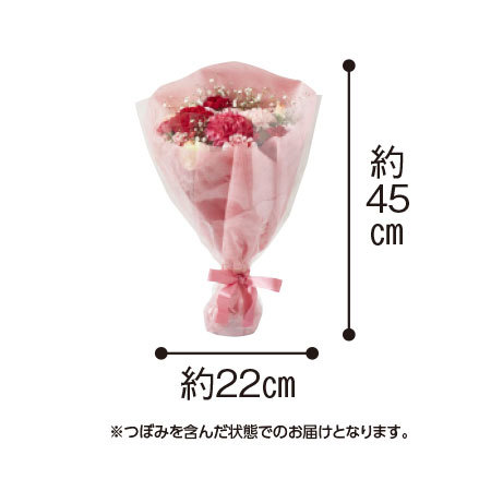 早割 ５００円オフ カラフルカーネーション花束 虹のきらめき ５月６日 １０日お届け 食品通販のベルーナグルメ 公式