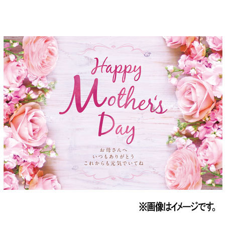 ≪早割★４００円オフ≫カリブラコアピーチイエロー【５月６日―１０日お届け】