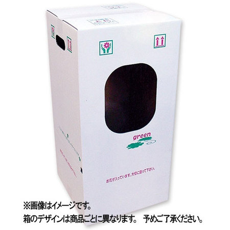 ≪早割★５００円オフ≫ミディ胡蝶蘭ミックス３本立【５月６日―１０日お届け
