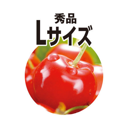 さくらんぼ宝石佐藤錦（２４個）【６月１９日―６月２１日お届け】