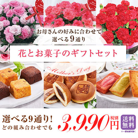 ≪超早割★１２０円オフ≫カーネーションバンビーノとオークラプチケーキ【５月６日―５月１０日お届け】