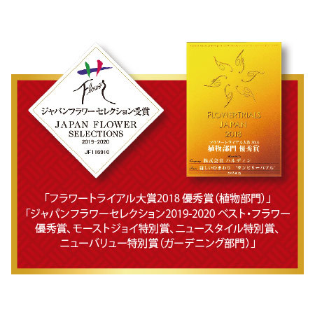 受賞品種！夏の鉢花３点セット　６月中旬より順次お届け