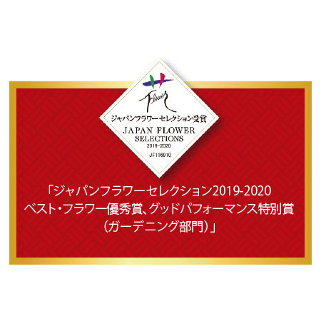 受賞品種！夏の鉢花３点セット　６月中旬より順次お届け