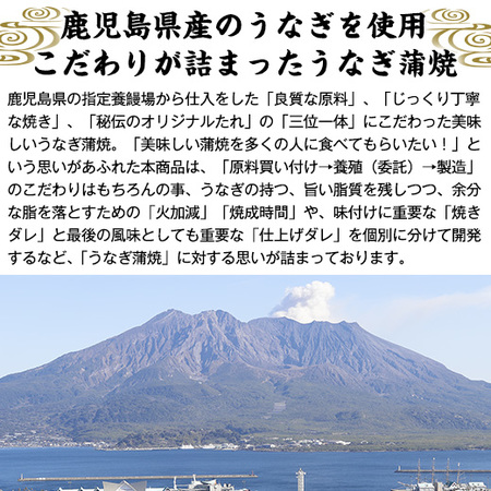 鹿児島県産うなぎ蒲焼（特大）　２尾