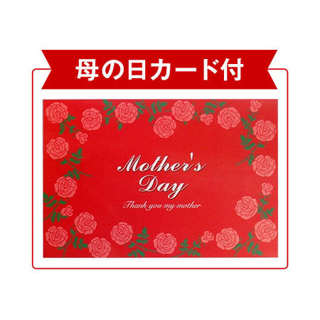 ニオイバンマツリハート仕立て【５月６日―１０日お届け】