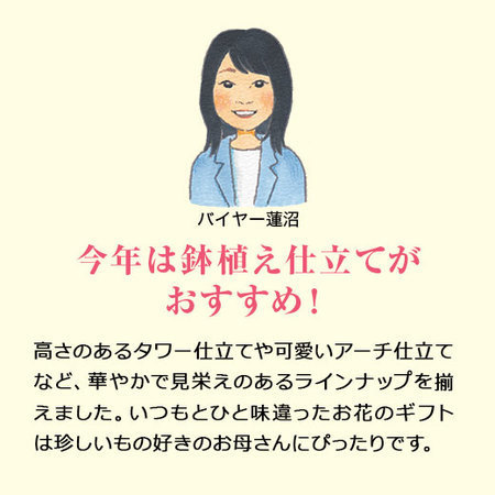 ニオイバンマツリハート仕立て【５月６日―１０日お届け】