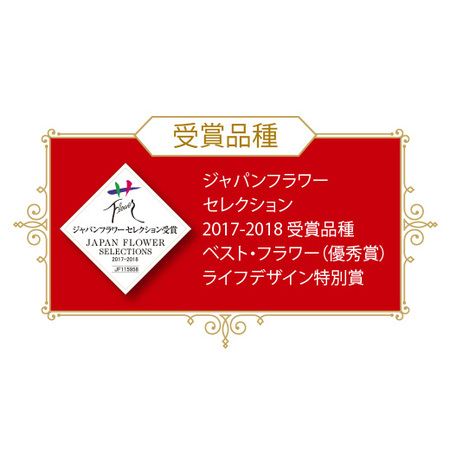 ルクリア「舞」タワー仕立て　１１月下旬より順次