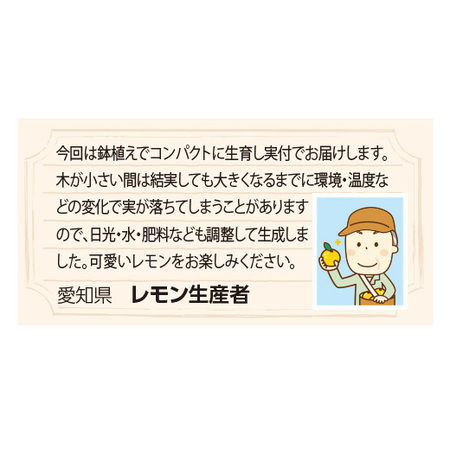育てて食べられる実付き３点セット　９月上旬より順次