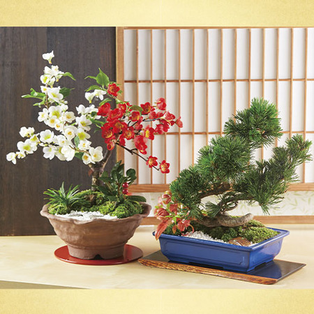 花器　梅型　9個　お正月 正月祝い盆栽セット - 食品通販のベルーナグルメ【公式】