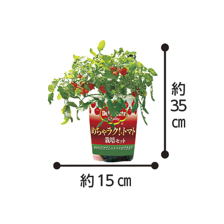 デルモンテ　めちゃラクトマト栽培セット