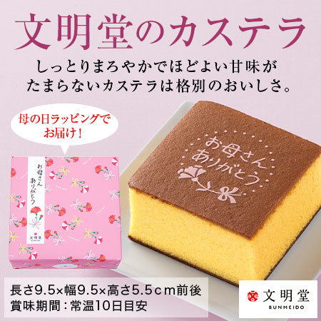 カーネーションカンタービレ5号とカステラセット 母の日期間お届け 食品通販のベルーナグルメ 公式 カーネーションカンタービレ5号とカステラセット 母の日期間お届け 食品通販のベルーナグルメ 公式