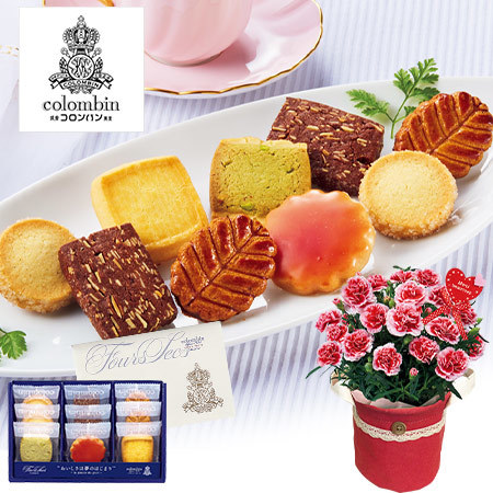 カーネ―ションいちごホイップとコロンバンフールセックン【母の日期間お届け】