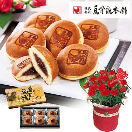 カーネ―ション感謝の気持ちと烏骨鶏姫どらやき【母の日期間お届け】