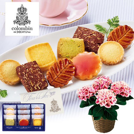 あじさいピルニッツとコロンバンフールセック【母の日期間お届け】