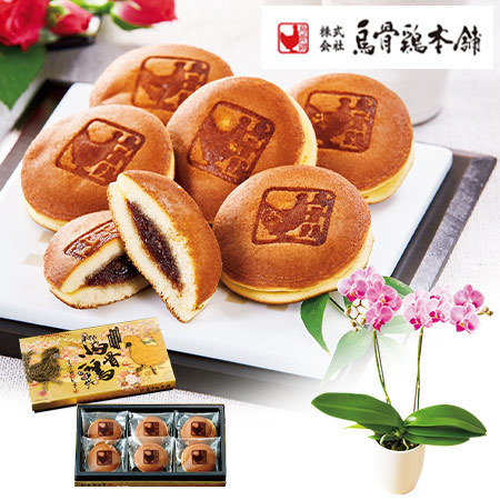 ミディ胡蝶蘭コーラルパラダイス２本立と烏骨鶏姫どらやき【母の日期間お届け】