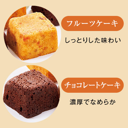 リーガスベゴニアボリアス寄鉢とホテルオークラプチケーキ【母の日期間お届け】