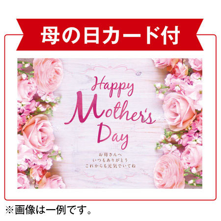 リーガスベゴニアボリアス寄鉢とホテルオークラプチケーキ【母の日期間お届け】