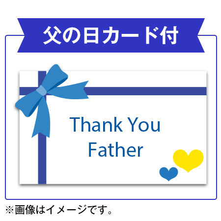 ≪早割★３００円引き！≫ガジュマル盆栽３号【父の日期間お届け】