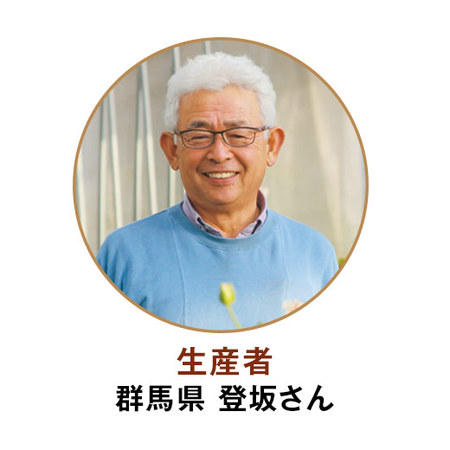 あじさいフェアリーアイ青５号カステラ母