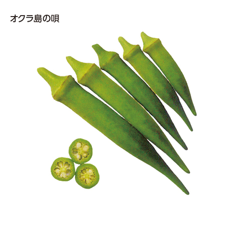 夏の家庭菜園セット　７月下旬より順次お届け