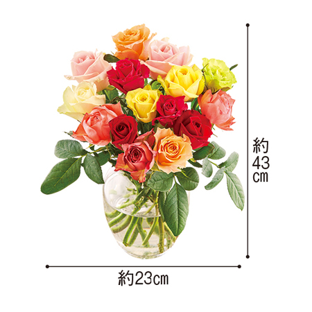 薔薇アラカルト☆参考画面！