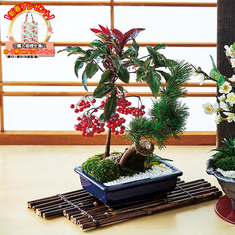 お正月の花飾り 食品通販のベルーナグルメ 公式