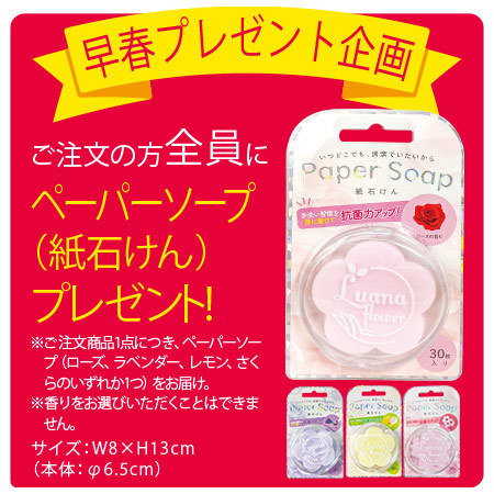 ≪送料無料≫胡蝶蘭「ウサギさんバスケット」　３月下旬より順次お届け
