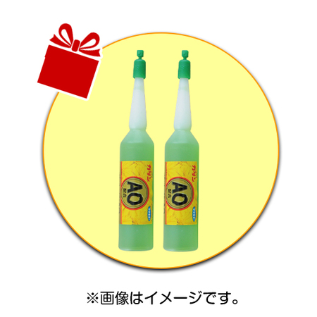 ≪送料無料！≫マーガレット　ストロベリーホイップ　４月上旬より順次お届け