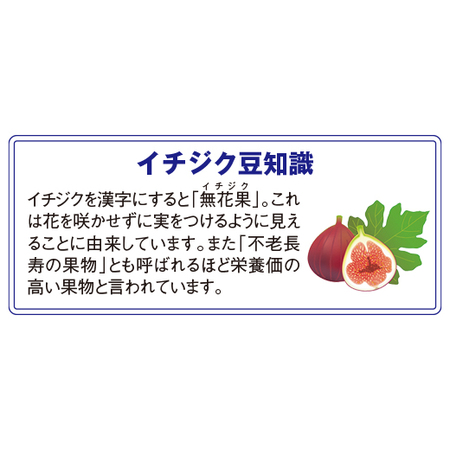≪送料無料！≫実付きイチジク　５月下旬より順次お届け