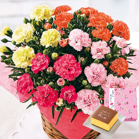 カーネーションサキーネ４色ミックス「しあわせ」と文明堂カステラセット　母の日お届け