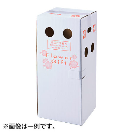 ≪早割★５５０円お得！≫カーネーションアイラブユーとコロンバンフールセックセット母の日お届け