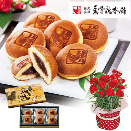 ≪早割★５５０円お得！≫カーネーショングランルージュと烏骨鶏姫どらやきセット母の日お届け