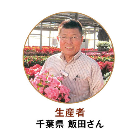 ≪早割★８８０円お得！≫ベゴニアグローリーピンクとホテルオークラプチケーキセット母の日お届け