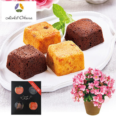 ≪早割★８８０円お得！≫ベゴニアグローリーピンクとホテルオークラプチケーキセット母の日お届け