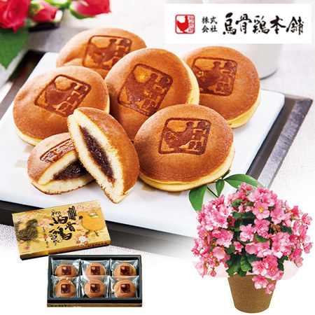 ≪早割★８８０円お得！≫ベゴニアグローリーピンクと烏骨鶏姫どらやきセット母の日お届け